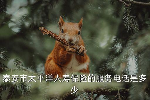 泰安市太平洋人壽保險(xiǎn)的服務(wù)電話是多少