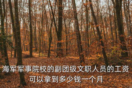 海軍軍事院校的副團級文職人員的工資可以拿到多少錢一個月