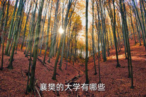 襄樊的大學(xué)有哪些
