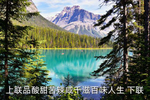 千滋百味，上聯品酸甜苦辣咸千滋百味人生 下聯