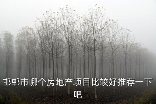 邯鄲市哪個房地產項目比較好推薦一下吧