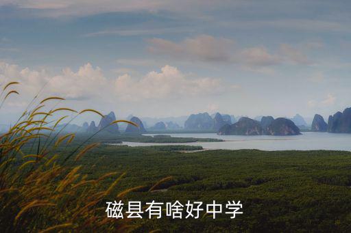 磁縣有啥好中學