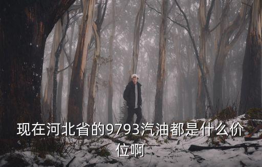 現在河北省的9793汽油都是什么價位啊