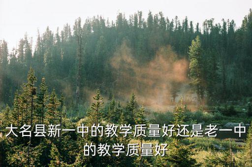 大名縣新一中的教學(xué)質(zhì)量好還是老一中的教學(xué)質(zhì)量好