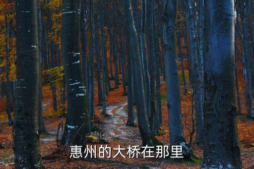 惠州的大橋在那里
