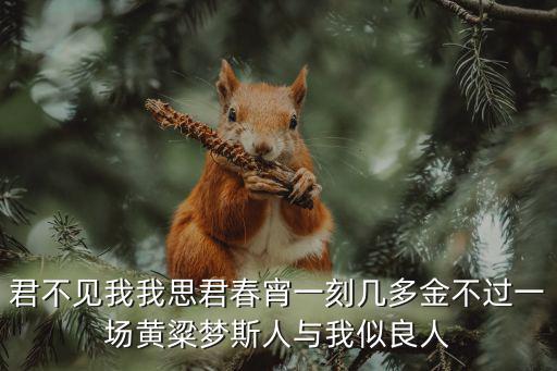 君不見我我思君春宵一刻幾多金不過一場黃粱夢斯人與我似良人