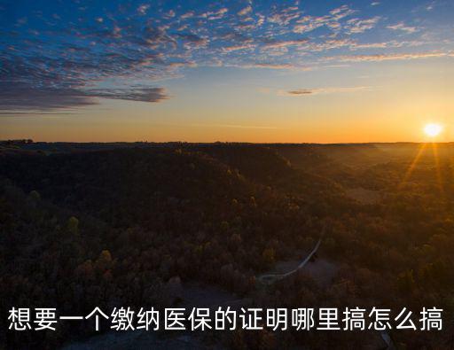 想要一個繳納醫保的證明哪里搞怎么搞