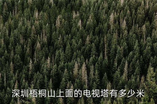 深圳梧桐山上面的電視塔有多少米
