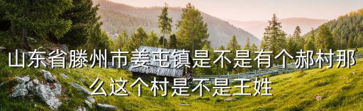 山東省滕州市姜屯鎮是不是有個郝村那么這個村是不是王姓