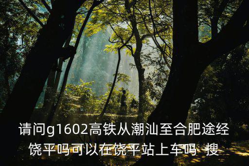 請(qǐng)問(wèn)g1602高鐵從潮汕至合肥途經(jīng)饒平嗎可以在饒平站上車嗎  搜
