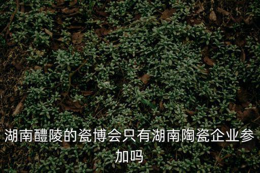 醴陵陶瓷博物館，湖南醴陵的瓷博會只有湖南陶瓷企業(yè)參加嗎