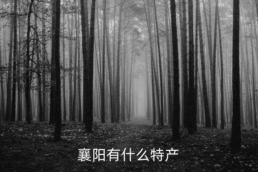 襄陽有什么特產