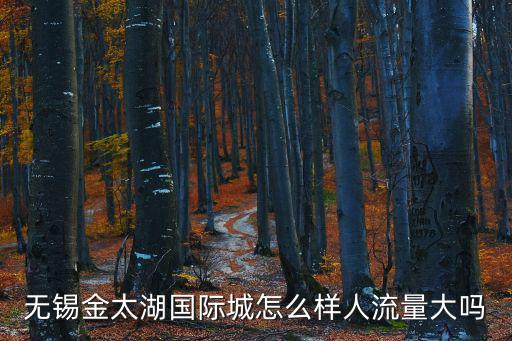無錫金太湖國際城怎么樣人流量大嗎