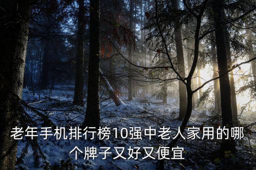 老年人手機排行，手機哪個牌子好十大老人手機品牌排名推薦