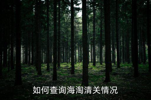 如何查詢海淘清關情況