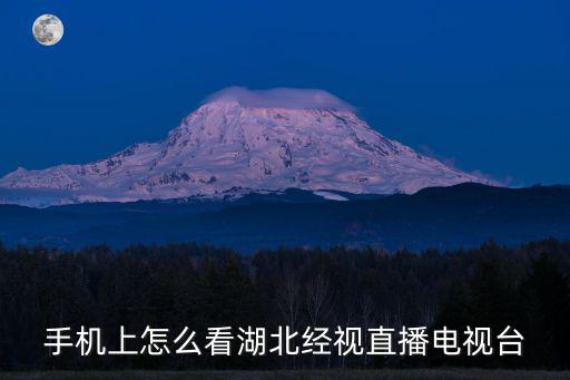 手機(jī)上怎么看湖北經(jīng)視直播電視臺
