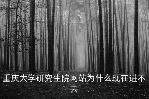 重慶研招網，重慶大學研究生院網站為什么現在進不去