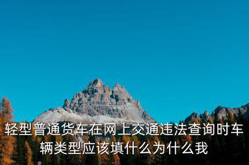 輕型普通貨車在網上交通違法查詢時車輛類型應該填什么為什么我