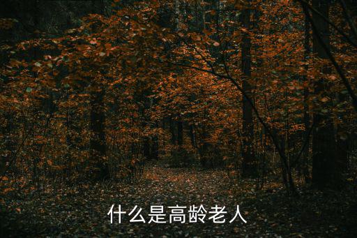 什么是高齡老人
