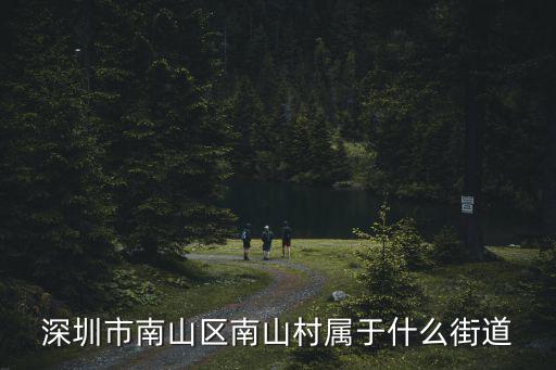 深圳市南山區(qū)南山村屬于什么街道