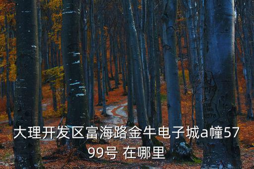 富海路，大理開發(fā)區(qū)富海路金牛電子城a幢5799號 在哪里
