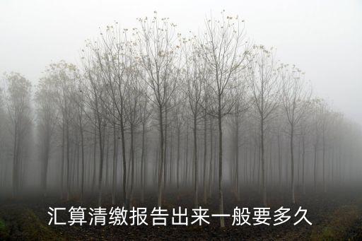 匯算清繳報告出來一般要多久
