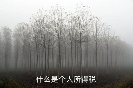 什么是個(gè)人所得稅
