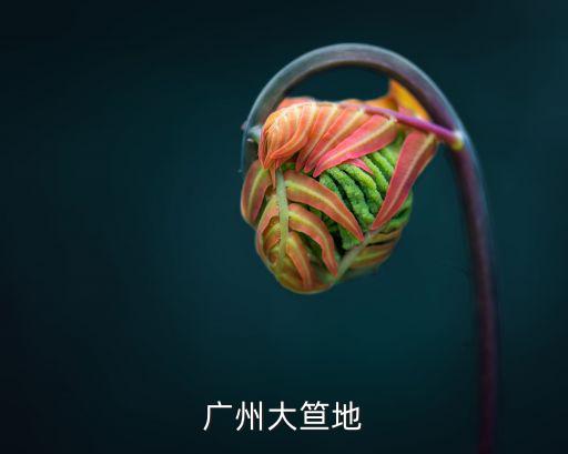 廣州大笪地