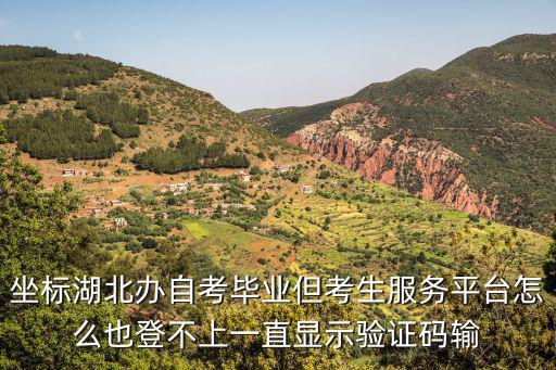 坐標湖北辦自考畢業但考生服務平臺怎么也登不上一直顯示驗證碼輸
