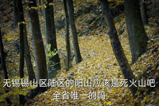 無(wú)錫錫山區(qū)陸區(qū)的陽(yáng)山應(yīng)該是死火山吧全省唯一的嗎