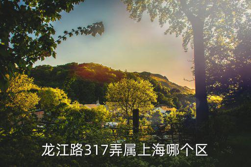 龍江道，龍江路317弄屬上海哪個區