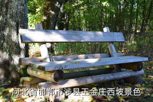 河北省邯鄲市涉縣王金莊西坡景色