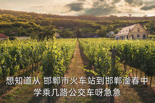 邯鄲市滏春中學(xué)，邯鄲滏春中學(xué)和鋼苑中學(xué)哪個(gè)中學(xué)比較好
