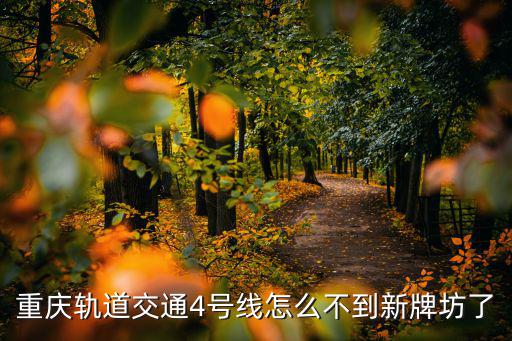 重慶四號(hào)線，重慶輕軌4號(hào)線路線會(huì)經(jīng)過(guò)彈子石嗎