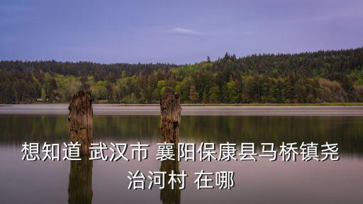 想知道 武漢市 襄陽保康縣馬橋鎮堯治河村 在哪