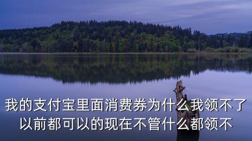 我的支付寶里面消費券為什么我領不了以前都可以的現在不管什么都領不