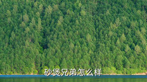 砂煲兄弟怎么樣