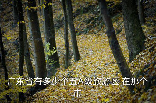 廣東省有多少個五A級旅游區(qū) 在那個市