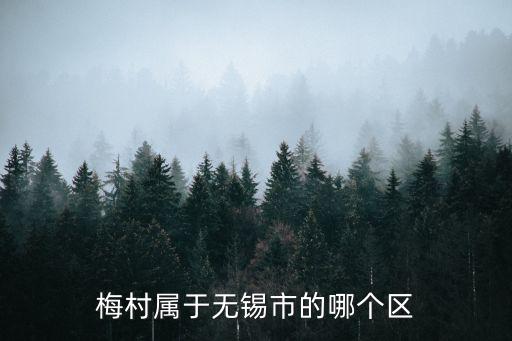 梅村屬于無錫市的哪個(gè)區(qū)