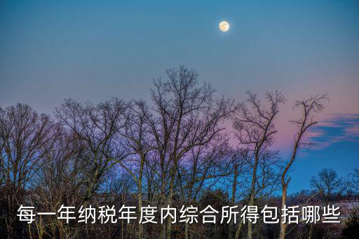 每一年納稅年度內(nèi)綜合所得包括哪些