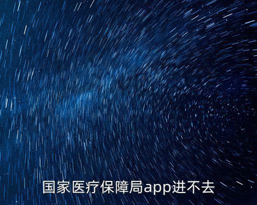 國家醫療保障局app進不去