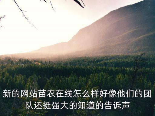 新的網站苗農在線怎么樣好像他們的團隊還挺強大的知道的告訴聲