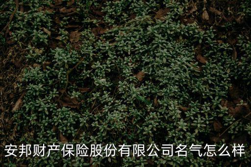 安邦財(cái)產(chǎn)保險(xiǎn)股份有限公司名氣怎么樣
