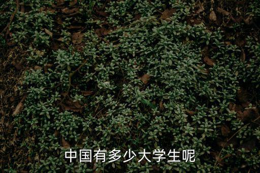 中國有多少大學生呢