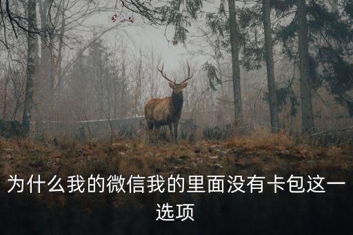 為什么我的微信我的里面沒有卡包這一選項(xiàng)