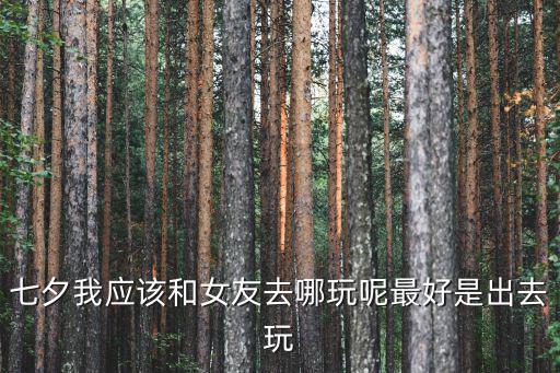 七夕我應(yīng)該和女友去哪玩呢最好是出去玩