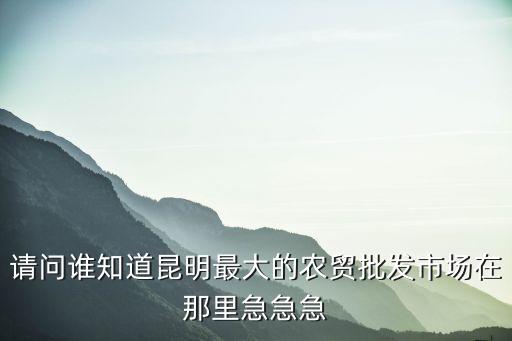 請問誰知道昆明最大的農貿批發市場在那里急急急