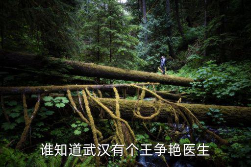 王爭艷，上醫之境 王爭艷