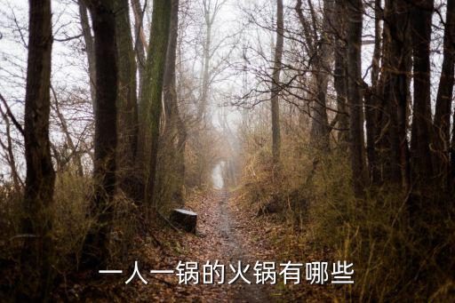 一人一鍋的火鍋有哪些