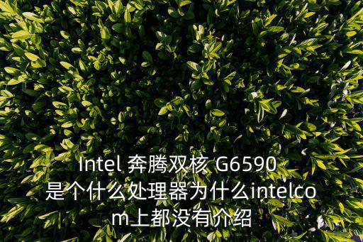 Intel 奔騰雙核 G6590 是個什么處理器為什么intelcom上都沒有介紹